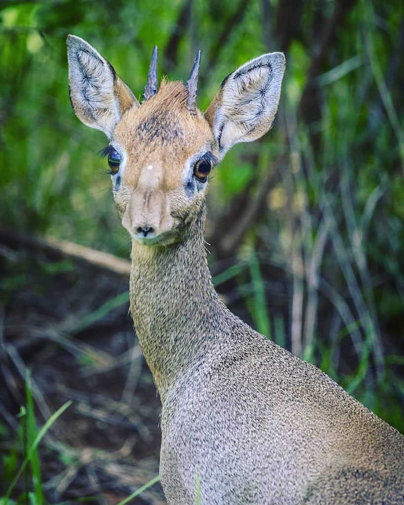 Những Điều Cần Tránh Khi Mang Thai